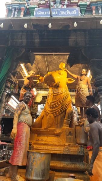 திருவண்ணாமலை அருணாச்சலேஸ்வரர் கோவிலில் ஆடி மாத அமாவாசை பிரதோஷம்! திருவண்ணாமலை அருணாச்சலேஸ்வரர் கோவிலில் ஆடி மாத அமாவாசை பிரதோஷம்!