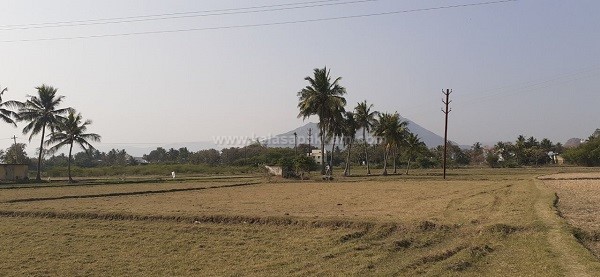 கலசபாக்கம் அடுத்த வில்வாரணி பகுதியில் விவசாய நிலம் குத்தகைக்கு! கலசபாக்கம் அடுத்த வில்வாரணி பகுதியில் விவசாய நிலம் குத்தகைக்கு!