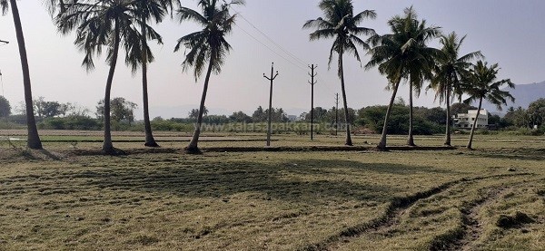 கலசபாக்கம் அடுத்த வில்வாரணி பகுதியில் விவசாய நிலம் குத்தகைக்கு! கலசபாக்கம் அடுத்த வில்வாரணி பகுதியில் விவசாய நிலம் குத்தகைக்கு!