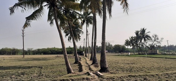 கலசபாக்கம் அடுத்த வில்வாரணி பகுதியில் விவசாய நிலம் குத்தகைக்கு! கலசபாக்கம் அடுத்த வில்வாரணி பகுதியில் விவசாய நிலம் குத்தகைக்கு!