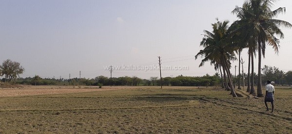 கலசபாக்கம் அடுத்த வில்வாரணி பகுதியில் விவசாய நிலம் குத்தகைக்கு! கலசபாக்கம் அடுத்த வில்வாரணி பகுதியில் விவசாய நிலம் குத்தகைக்கு!