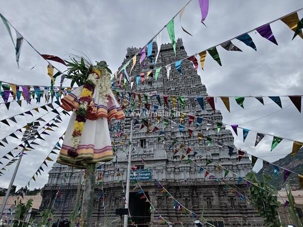 திருக்கார்த்திகை தீபத்திருவிழாவை முன்னிட்டு இன்று பந்தக்கால் முகூர்த்தம்! திருக்கார்த்திகை தீபத்திருவிழாவை முன்னிட்டு இன்று பந்தக்கால் முகூர்த்தம்!