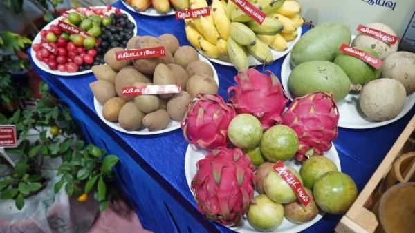 சென்னை டிரேட் சென்டரில் நடைபெற்ற வேளாண் வணிகத் திருவிழா 2025 – 1.57 லட்சம் பேர் பங்கேற்பு! சென்னை டிரேட் சென்டரில் நடைபெற்ற வேளாண் வணிகத் திருவிழா 2025 – 1.57 லட்சம் பேர் பங்கேற்பு!