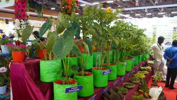 சென்னை டிரேட் சென்டரில் நடைபெற்ற வேளாண் வணிகத் திருவிழா 2025 – 1.57 லட்சம் பேர் பங்கேற்பு! சென்னை டிரேட் சென்டரில் நடைபெற்ற வேளாண் வணிகத் திருவிழா 2025 – 1.57 லட்சம் பேர் பங்கேற்பு!