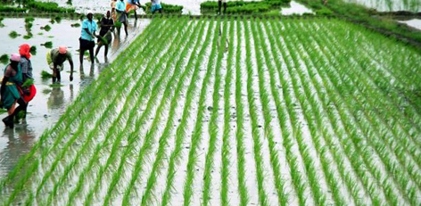 Agri-Business Fair 2025 to Be Held in Chennai with Mega Exhibition