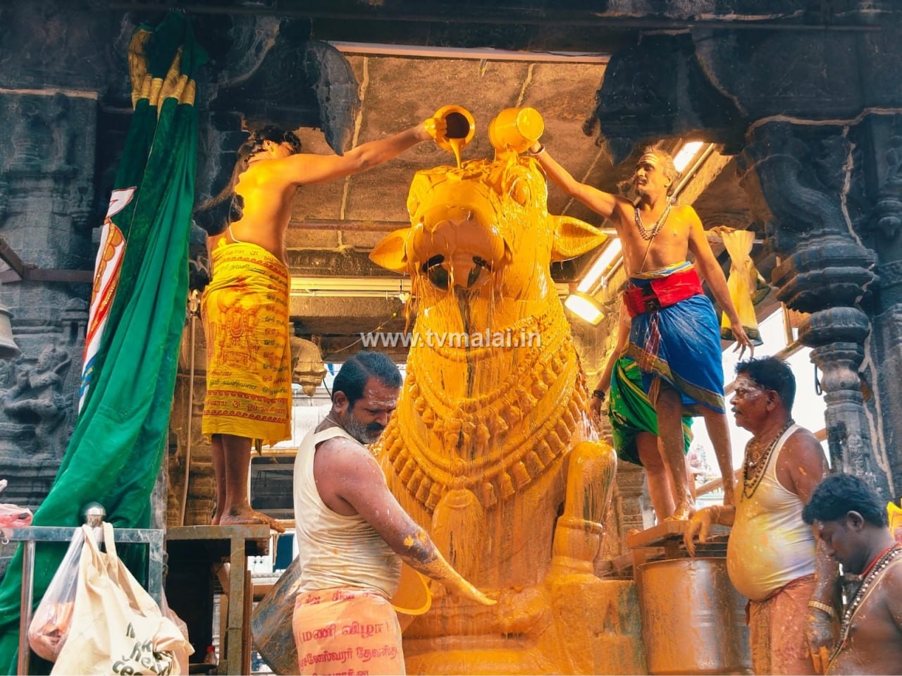 திருவண்ணாமலை அருணாச்சலேஸ்வரர் கோவிலில் புரட்டாசி மாத அமாவாசை பிரதோஷம்! திருவண்ணாமலை அருணாச்சலேஸ்வரர் கோவிலில் புரட்டாசி மாத அமாவாசை பிரதோஷம்!