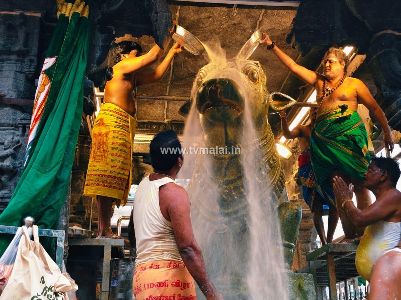 திருவண்ணாமலை அருணாச்சலேஸ்வரர் கோவிலில் புரட்டாசி மாத அமாவாசை பிரதோஷம்! திருவண்ணாமலை அருணாச்சலேஸ்வரர் கோவிலில் புரட்டாசி மாத அமாவாசை பிரதோஷம்!