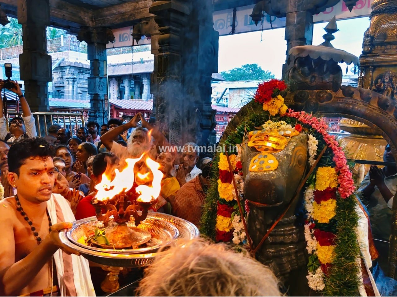 திருவண்ணாமலை அருணாச்சலேஸ்வரர் கோவிலில் புரட்டாசி மாத அமாவாசை பிரதோஷம்! திருவண்ணாமலை அருணாச்சலேஸ்வரர் கோவிலில் புரட்டாசி மாத அமாவாசை பிரதோஷம்!