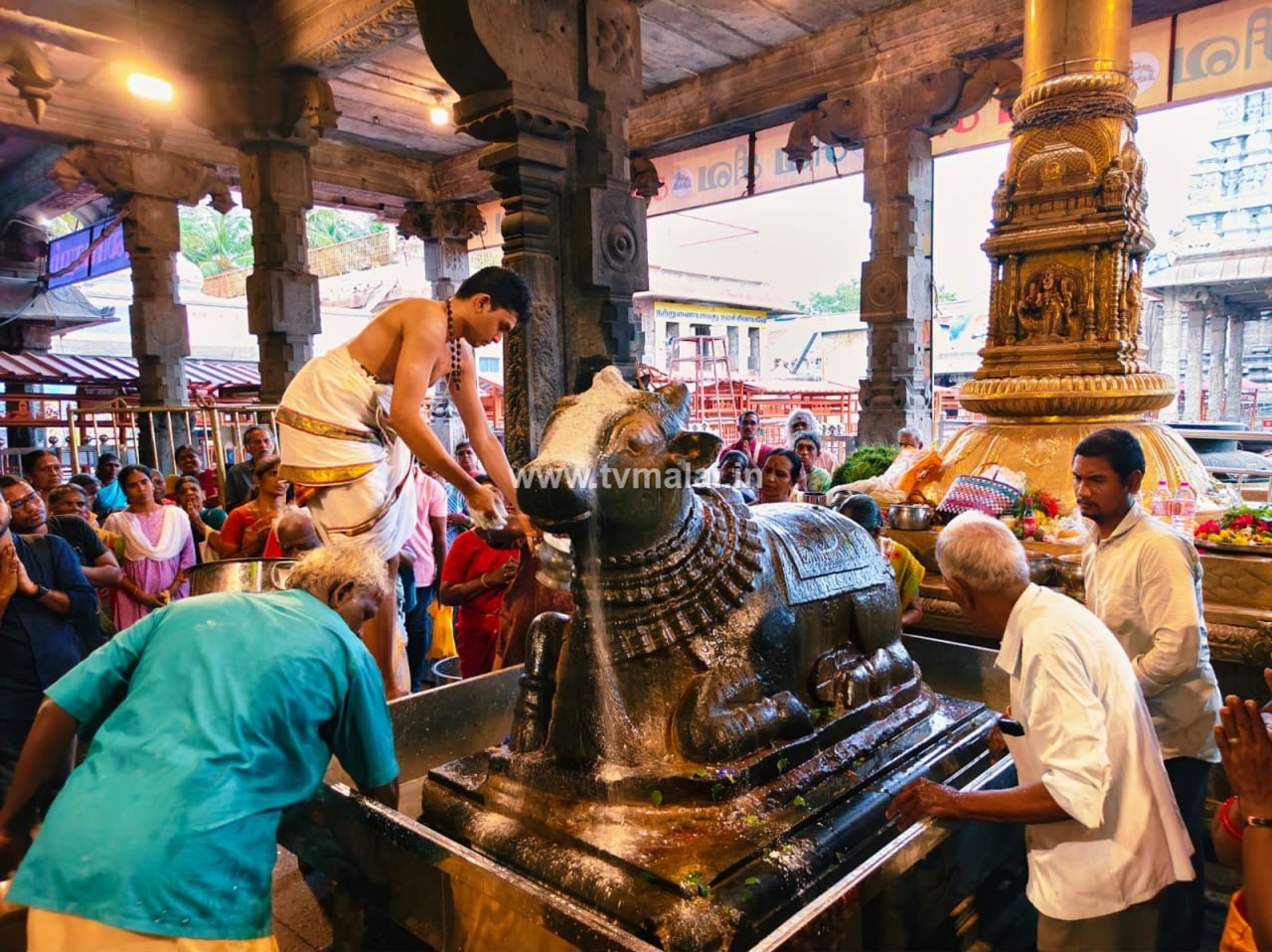 திருவண்ணாமலை அருணாச்சலேஸ்வரர் கோவிலில் புரட்டாசி மாத அமாவாசை பிரதோஷம்! திருவண்ணாமலை அருணாச்சலேஸ்வரர் கோவிலில் புரட்டாசி மாத அமாவாசை பிரதோஷம்!