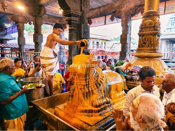 திருவண்ணாமலை அருணாச்சலேஸ்வரர் கோவிலில் புரட்டாசி மாத அமாவாசை பிரதோஷம்! திருவண்ணாமலை அருணாச்சலேஸ்வரர் கோவிலில் புரட்டாசி மாத அமாவாசை பிரதோஷம்!