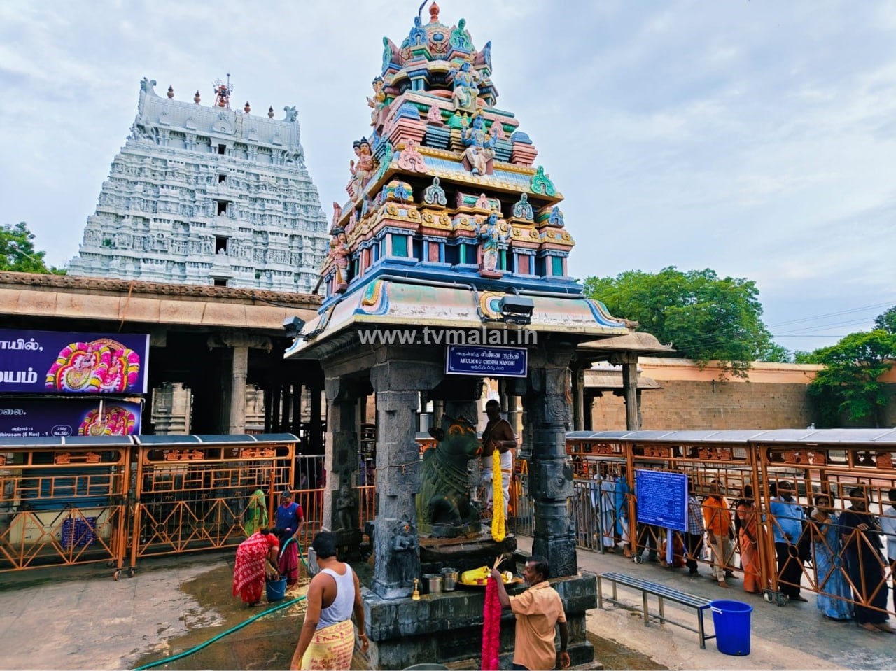 திருவண்ணாமலை அருணாச்சலேஸ்வரர் கோவிலில் புரட்டாசி மாத அமாவாசை பிரதோஷம்! திருவண்ணாமலை அருணாச்சலேஸ்வரர் கோவிலில் புரட்டாசி மாத அமாவாசை பிரதோஷம்!