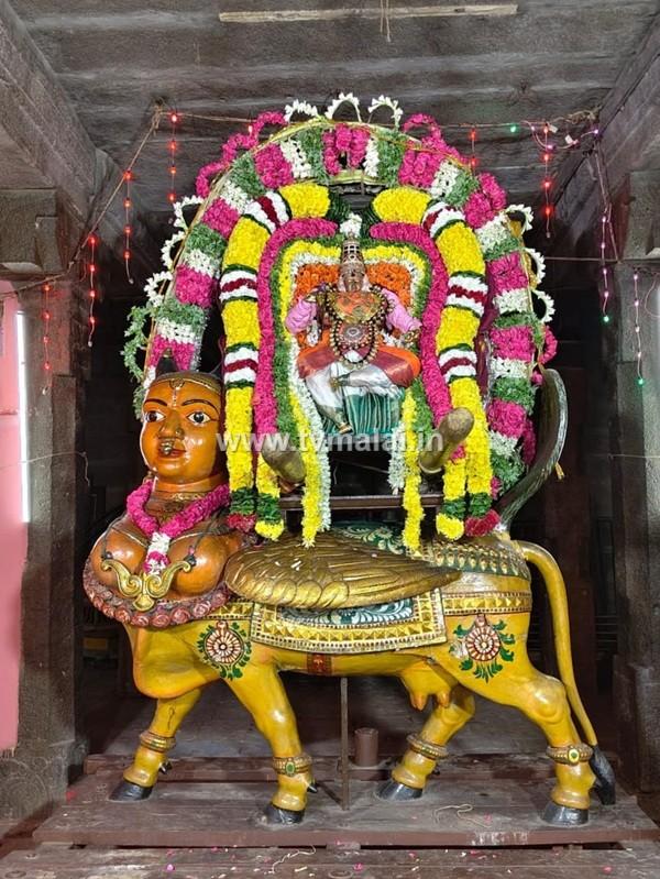 திருவண்ணாமலை அருள்மிகு அண்ணாமலையார் திருக்கோவிலில் நவராத்திரி முதல் நாள்!