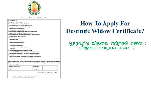 How to Apply for Destitute Widow Certificate Online Easily!!