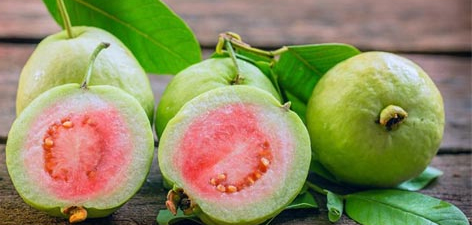 If you have these health issues, then please avoid eating guava fruit, take care!!