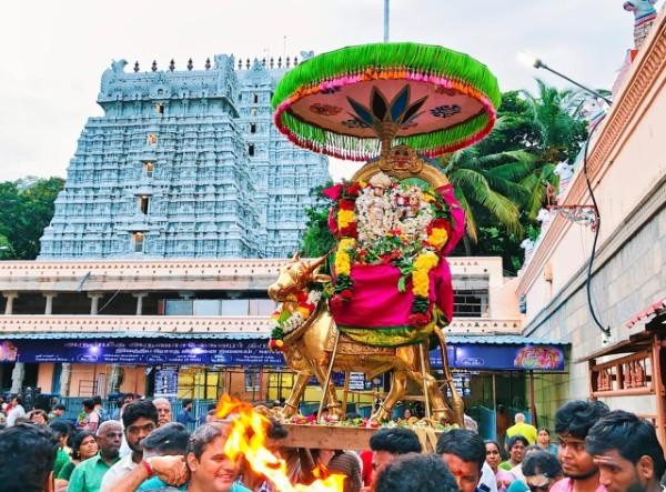 திருவண்ணாமலை அருணாச்சலேஸ்வரர் கோவிலில் புரட்டாசி மாத பௌர்ணமி பிரதோஷம்! திருவண்ணாமலை அருணாச்சலேஸ்வரர் கோவிலில் புரட்டாசி மாத பௌர்ணமி பிரதோஷம்!