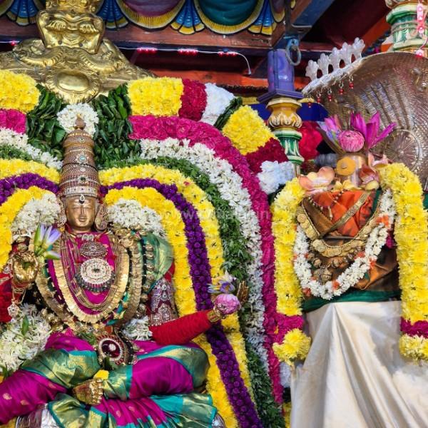 திருவண்ணாமலை அண்ணாமலையார் திருக்கோவிலில் நவராத்திரி எட்டாம் நாள்!