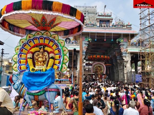 திருவண்ணாமலை கார்த்திகை தீபத் திருவிழா 2025 – மூன்றாம் நாள் காலை!