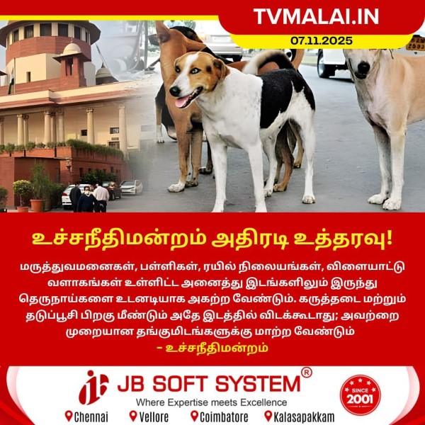 தெருநாய்கள் அகற்ற உச்சநீதிமன்றம் அதிரடி உத்தரவு!