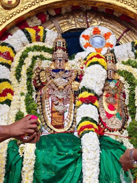 திருவண்ணாமலை அருள்மிகு அண்ணாமலையார் திருக்கோயிலில் கார்த்திகை தீபத் திருவிழா 2025 – இரண்டாம் நாள் காலை!
