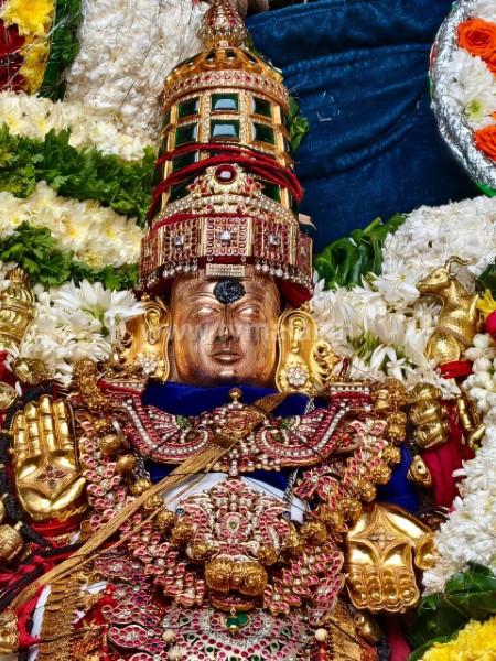 திருவண்ணாமலை அருள்மிகு அண்ணாமலையார் திருக்கோயிலில் கார்த்திகை தீபத் திருவிழா 2025 – இரண்டாம் நாள் காலை!