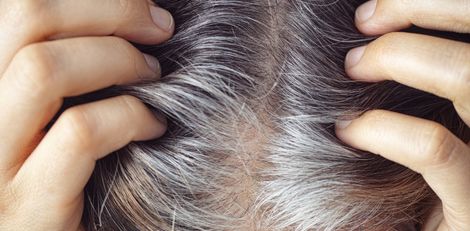 Noticing More Grey Hair Lately? These Lesser-Known Reasons May Surprise You Noticing More Grey Hair Lately? These Lesser-Known Reasons May Surprise You