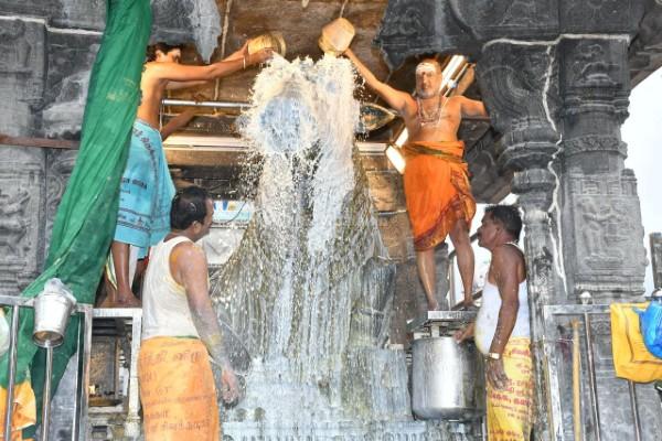 திருவண்ணாமலை அருணாச்சலேஸ்வரர் கோவிலில் கார்த்திகை மாத அமாவாசை பிரதோஷம்!