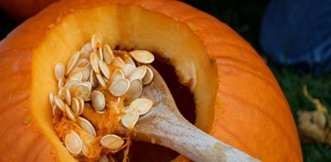 5 Powerful Health Benefits of Pumpkin Seeds Every Woman Should Know!!