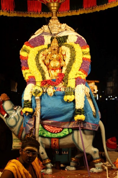 திருவண்ணாமலை கார்த்திகை தீபத் திருவிழா 2025 – முதல் நாள் இரவு..!