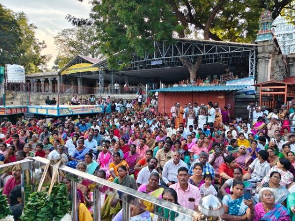 திருவண்ணாமலை அருணாச்சலேஸ்வரர் கோவிலில் மார்கழி மாத அமாவாசை பிரதோஷம்!