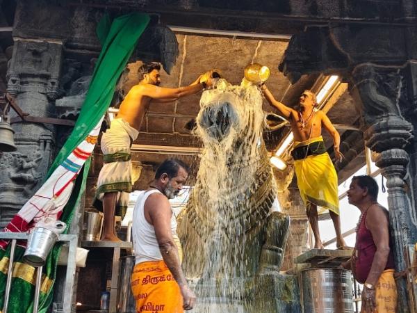 திருவண்ணாமலை அருணாச்சலேஸ்வரர் கோவிலில் மார்கழி மாத அமாவாசை பிரதோஷம்!