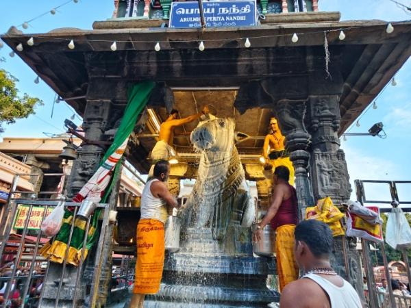 திருவண்ணாமலை அருணாச்சலேஸ்வரர் கோவிலில் மார்கழி மாத அமாவாசை பிரதோஷம்!