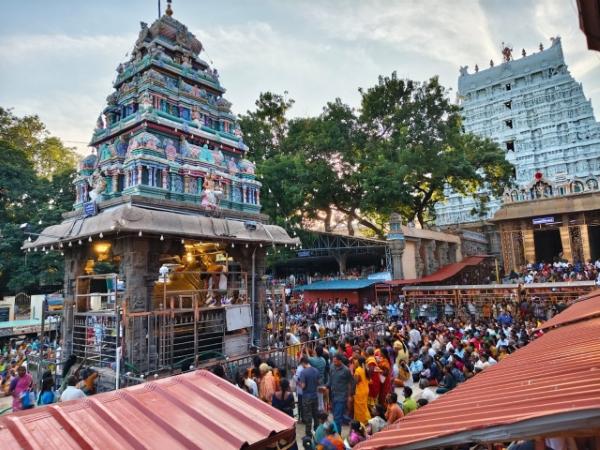 திருவண்ணாமலை அருணாச்சலேஸ்வரர் கோவிலில் மார்கழி மாத அமாவாசை பிரதோஷம்!