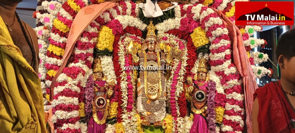 திருவண்ணாமலை அருள்மிகு அண்ணாமலையார் திருக்கோவிலில் முருகர் தெப்பல் உற்சவம்! திருவண்ணாமலை அருள்மிகு அண்ணாமலையார் திருக்கோவிலில் முருகர் தெப்பல் உற்சவம்!