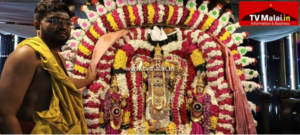 திருவண்ணாமலை அருள்மிகு அண்ணாமலையார் திருக்கோவிலில் முருகர் தெப்பல் உற்சவம்!