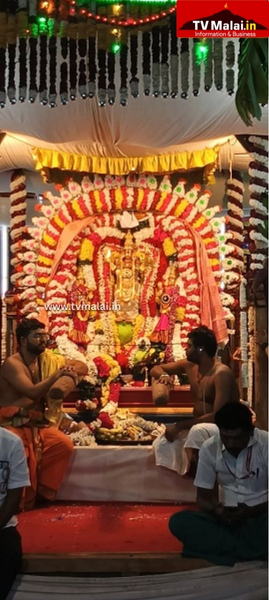 திருவண்ணாமலை அருள்மிகு அண்ணாமலையார் திருக்கோவிலில் முருகர் தெப்பல் உற்சவம்!