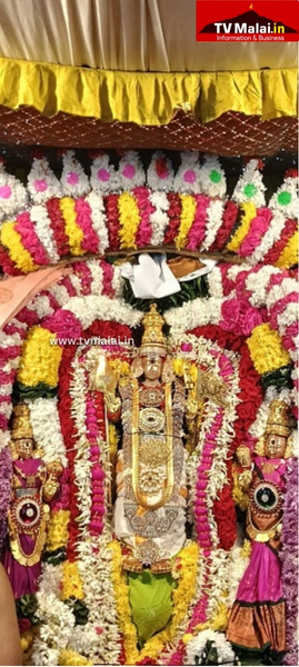 திருவண்ணாமலை அருள்மிகு அண்ணாமலையார் திருக்கோவிலில் முருகர் தெப்பல் உற்சவம்!