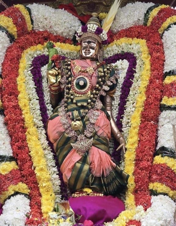 கார்த்திகைத் தீபத் திருவிழாவையொட்டி அண்ணாமலையார் உண்ணாமுலை அம்மன் கிரிவலம்!