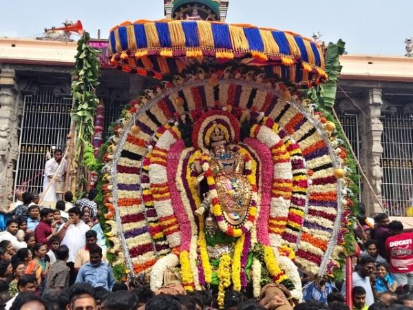 திருவண்ணாமலை அருள்மிகு அண்ணாமலையார் திருக்கோயில் ஆருத்ரா தரிசனம்!