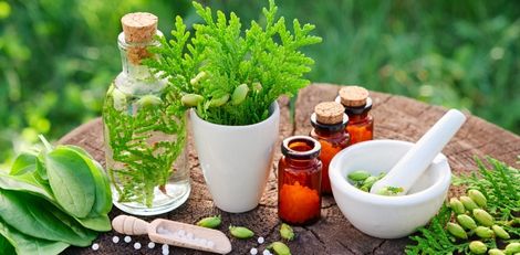 How to Apply for Homeopathic Medicines Licence (DCA-402) in Tamil Nadu