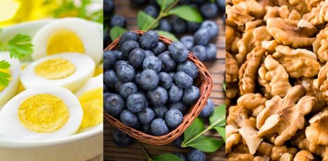 Foods That Support Brain Power and Mental Sharpness