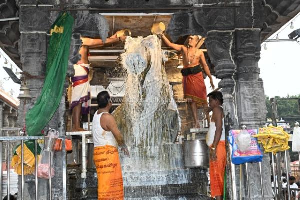 திருவண்ணாமலை அருணாச்சலேஸ்வரர் கோவிலில் மார்கழி மாத பௌர்ணமி பிரதோஷம்!