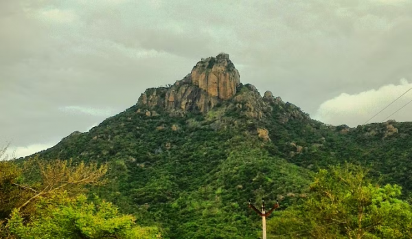 திருவண்ணாமலை மாவட்டத்தில் பர்வதமலை ஏற்றத்திற்கு புதிய வழிகாட்டு நெறிமுறைகள் அறிவிப்பு!