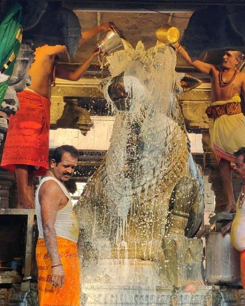 திருவண்ணாமலை அருணாச்சலேஸ்வரர் கோவிலில் பங்குனி மாத அமாவாசை பிரதோஷம்!