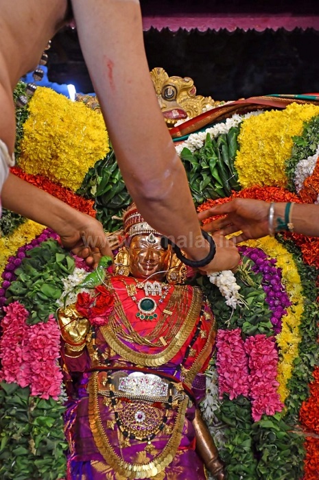 திருவண்ணாமலை அருணாசலேஸ்வரர் கோயிலில் பங்குனி உத்திரம் திருவிழா!