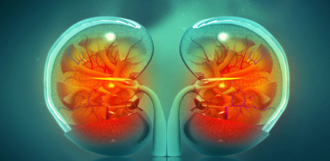 Chronic Kidney Disease: Symptoms, Risk Factors & Prevention Tips